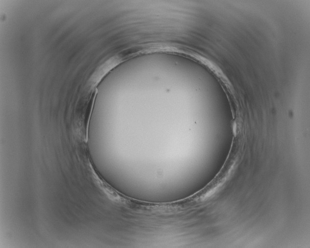 X0000072550905200608041645