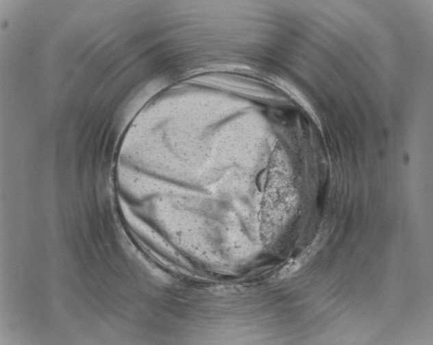 X0000072550906200608041645