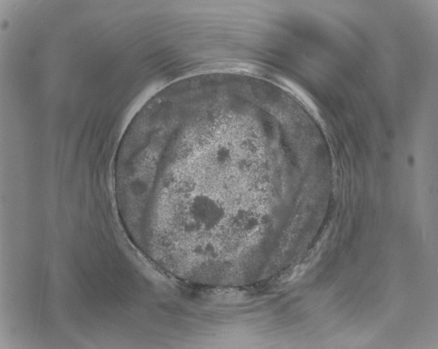 X0000072550907200608041645