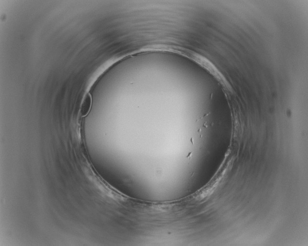 X0000072550908200608041645