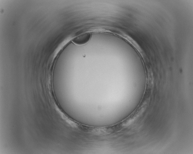 X0000072550909200608041645