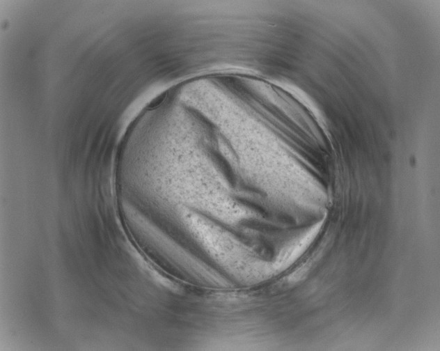 X0000072550910200608041645