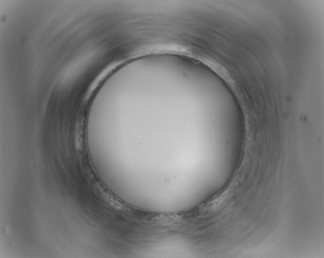 X0000072550912200608041645