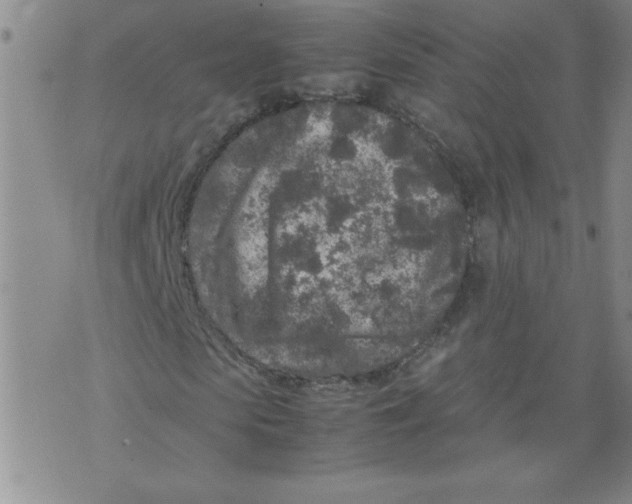 X0000072550913200608041644