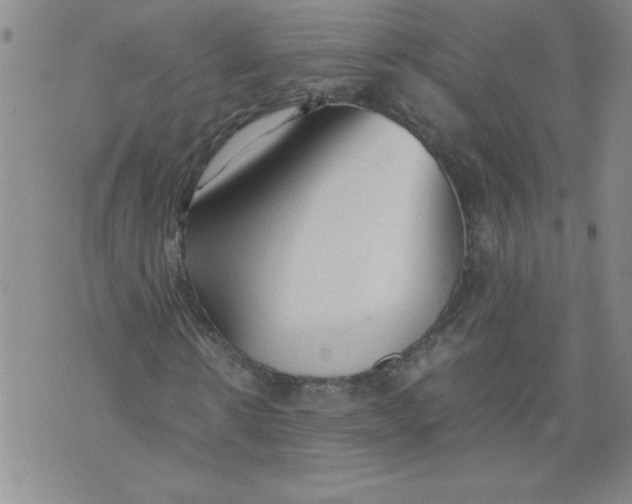 X0000072550914200608041644