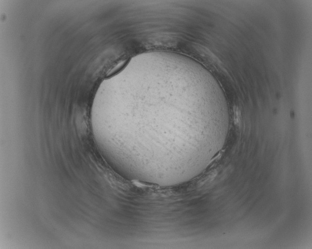 X0000072550915200608041644