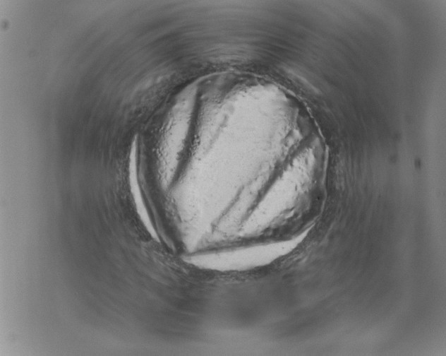 X0000072550917200608041644