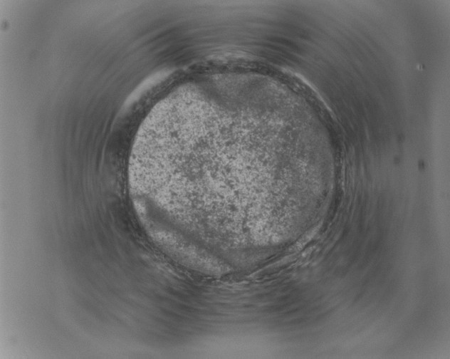 X0000072550919200608041644