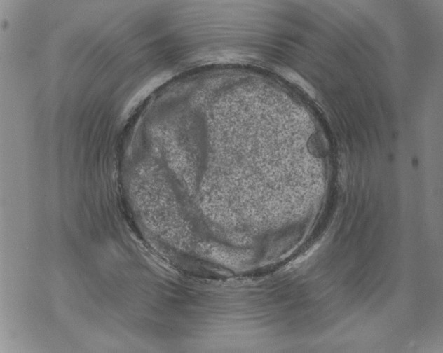 X0000072550922200608041644