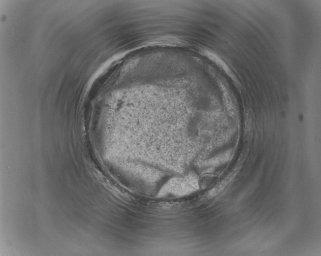 X0000072550923200608041644