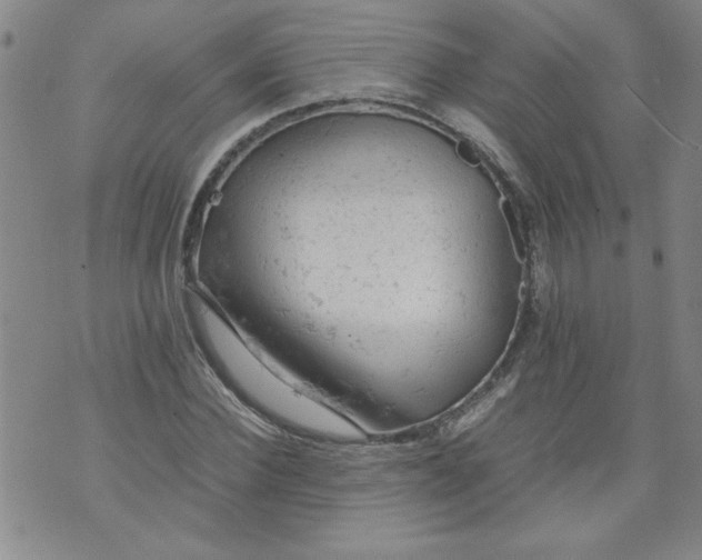 X0000072550924200608041644