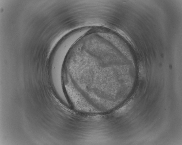 X0000072550926200608041644