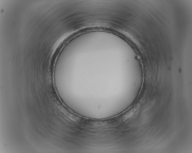 X0000072550927200608041644