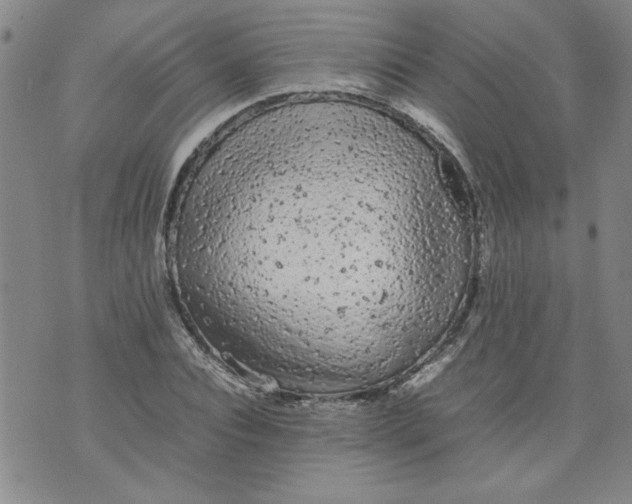 X0000072550928200608041644