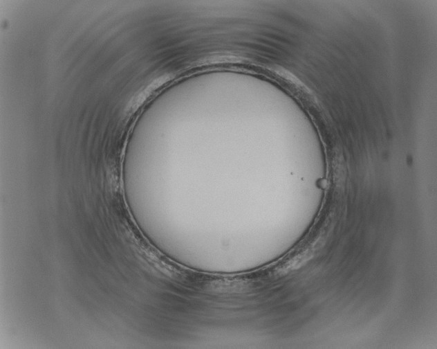 X0000072550929200608041644