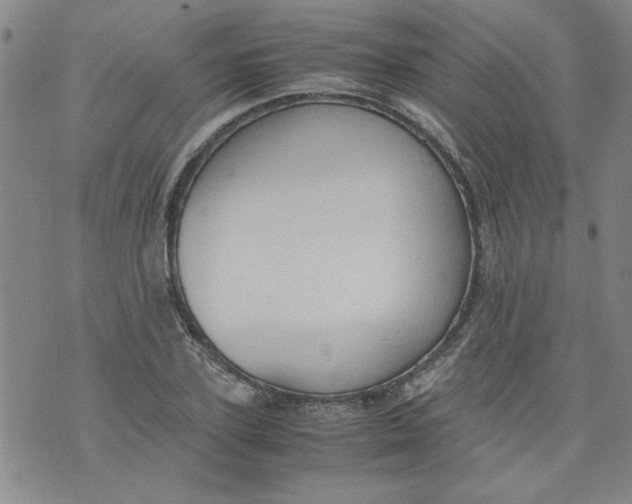 X0000072550931200608041644