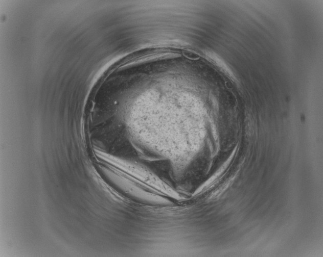 X0000072550932200608041644