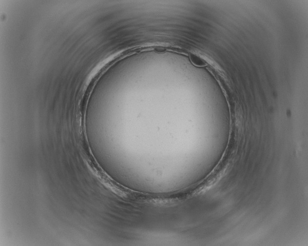 X0000072550933200608041644