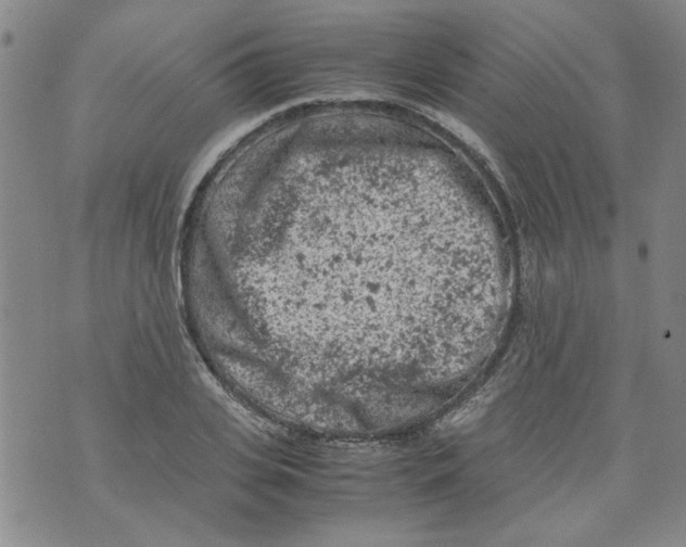 X0000072550935200608041644