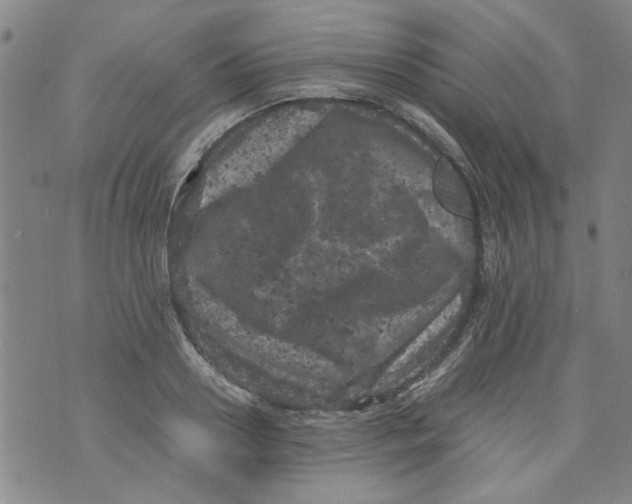 X0000072550938200608041644