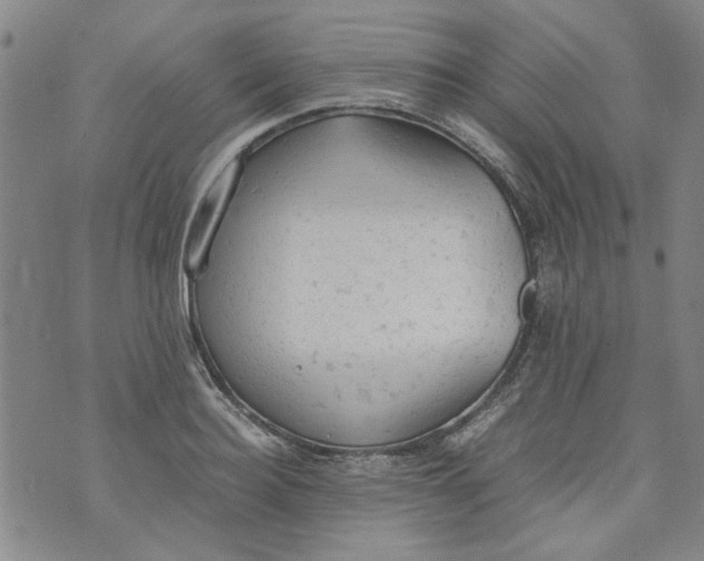 X0000072550940200608041644