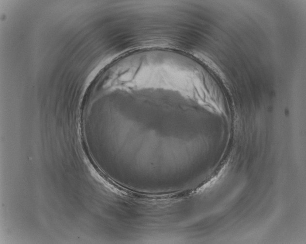 X0000072550941200608041644