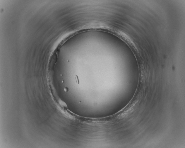 X0000072550942200608041644