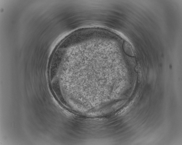 X0000072550943200608041644