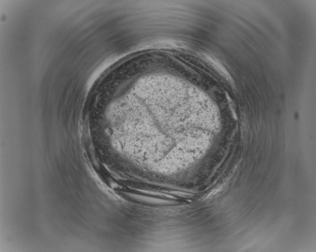 X0000072550944200608041644