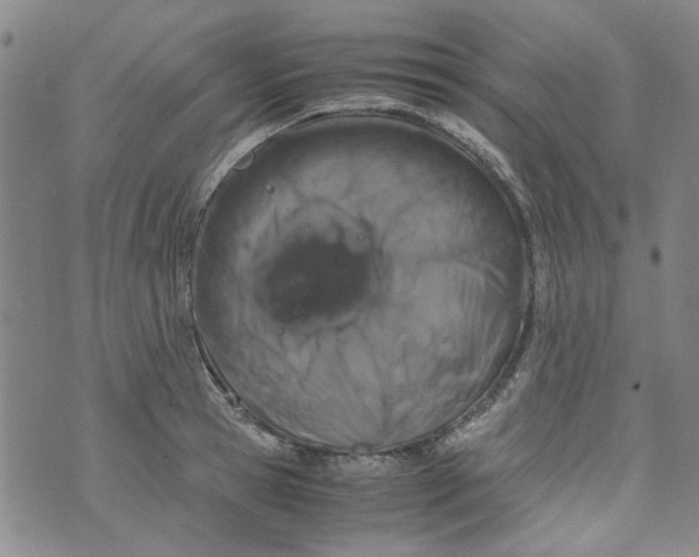 X0000072550945200608041644