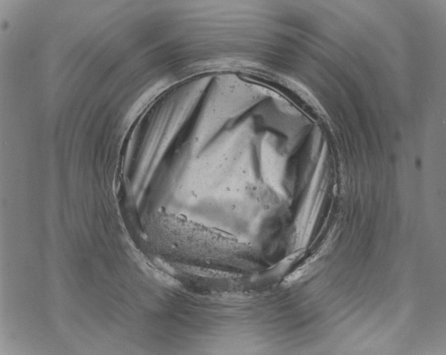 X0000072550946200608041644