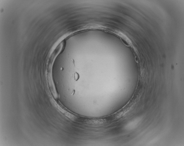 X0000072550947200608041644