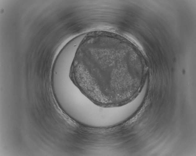 X0000072550948200608041644