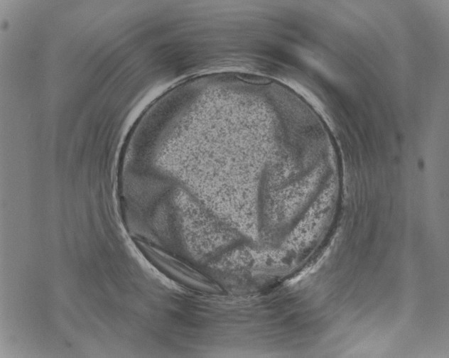 X0000072550949200608041644