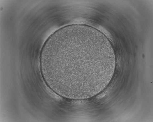 X0000072550950200608041644