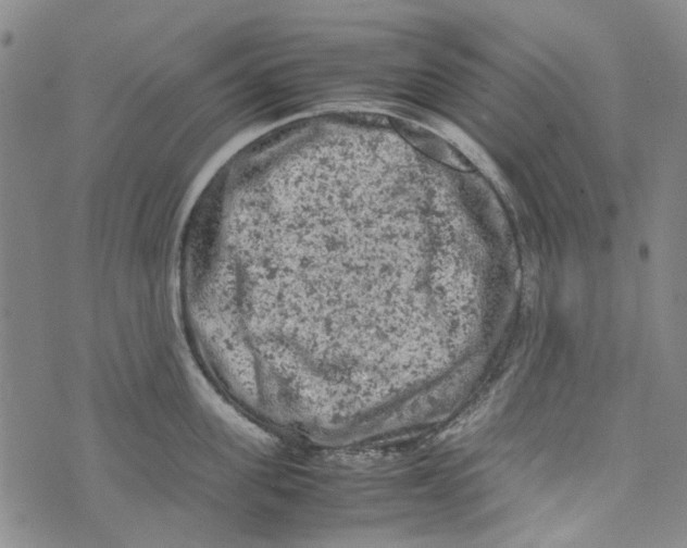 X0000072550955200608041645