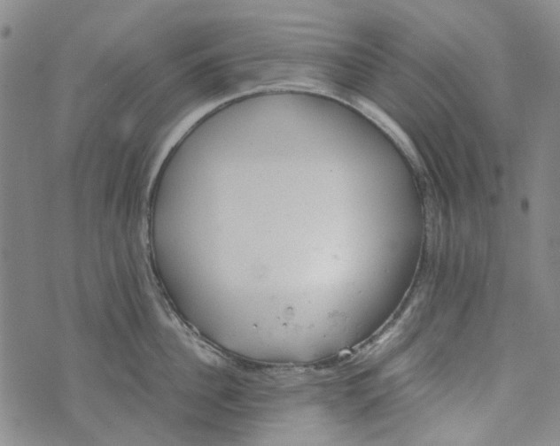 X0000072550956200608041645