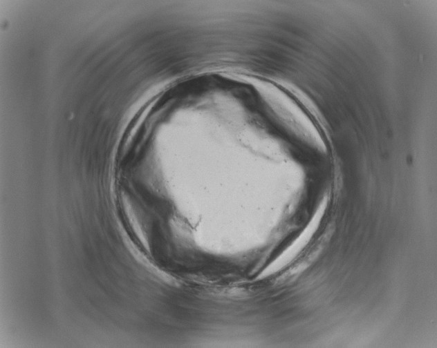 X0000072550957200608041645