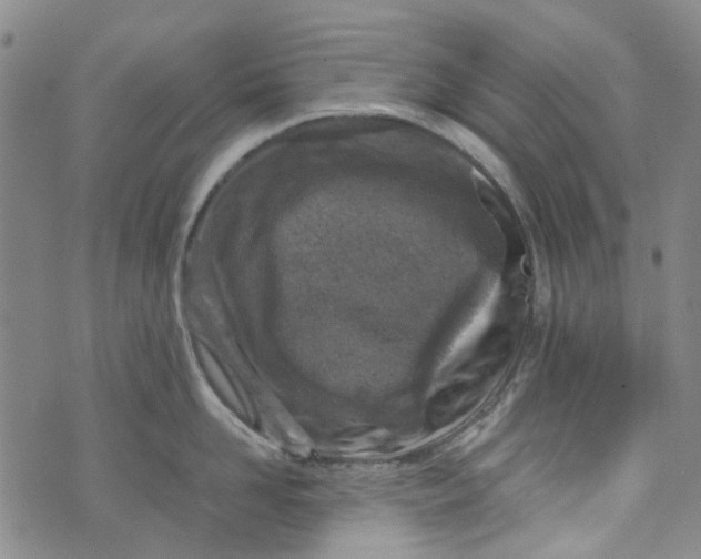 X0000072550958200608041645