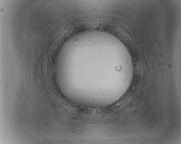 X0000072550961200608041644