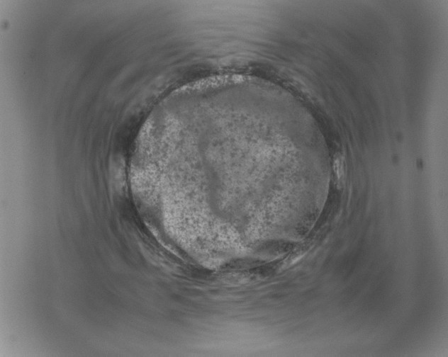 X0000072550963200608041644