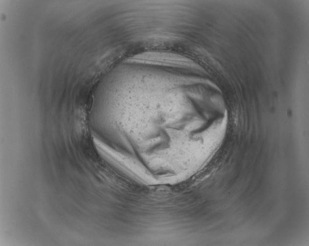 X0000072550964200608041644