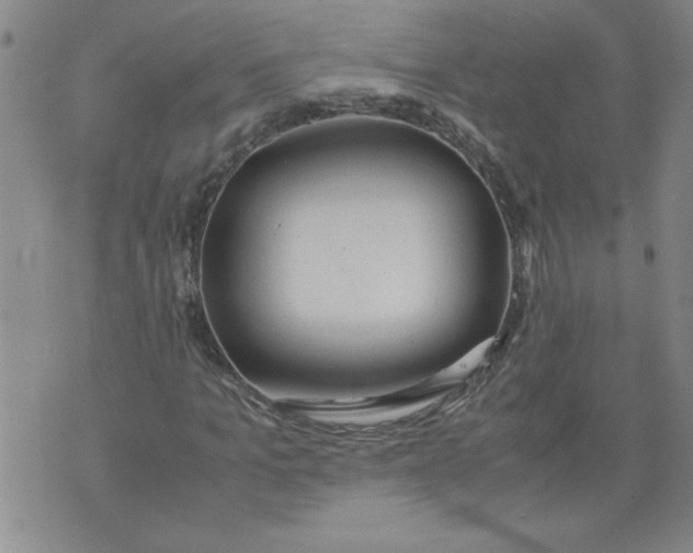 X0000072550965200608041644