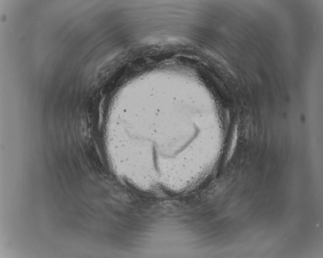 X0000072550966200608041644