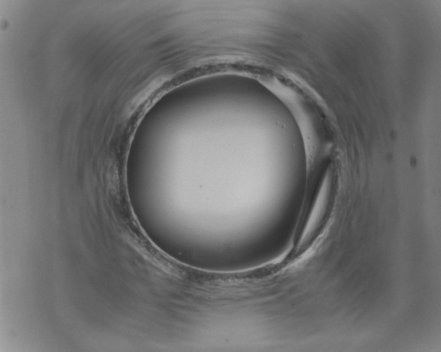 X0000072550969200608041644