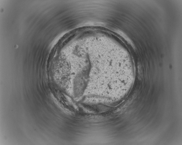 X0000072550972200608041644