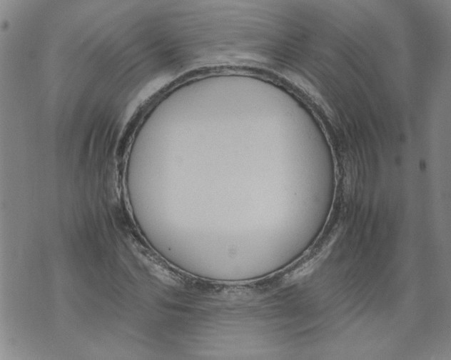 X0000072550974200608041644