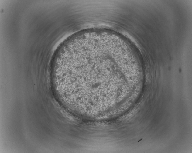 X0000072550975200608041644