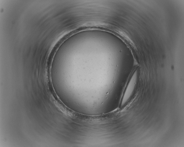 X0000072550976200608041644