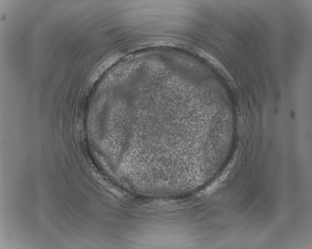 X0000072550977200608041644